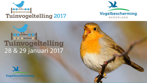 National tuinvogeltelling 2017 Naar Buiten in de natuur